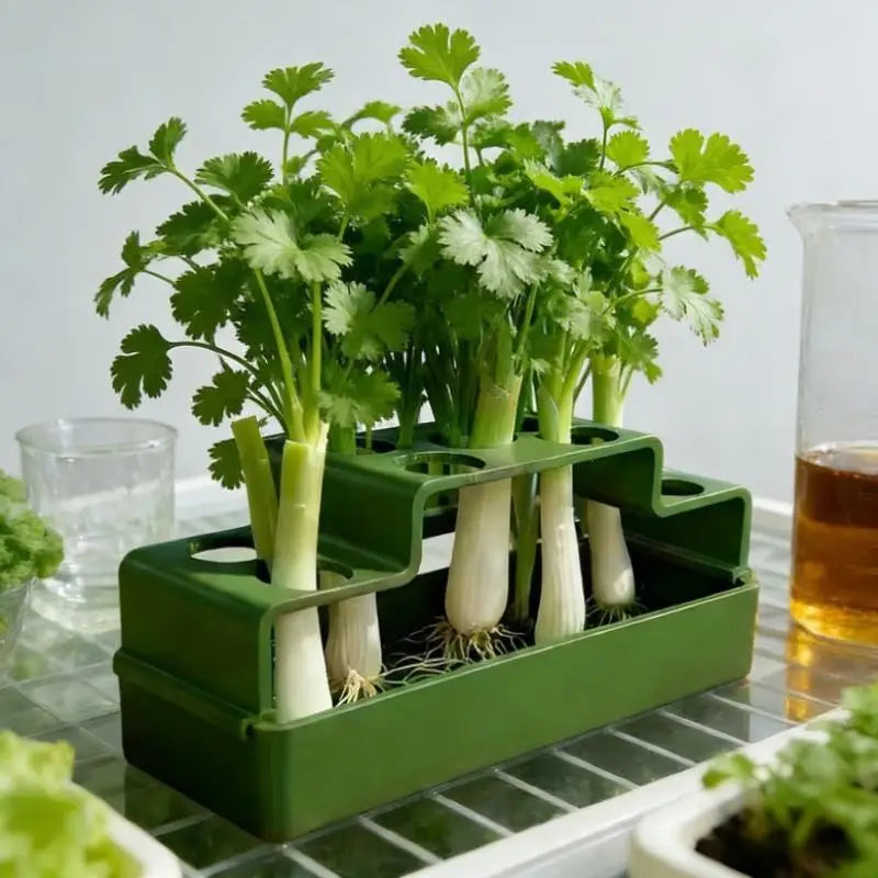 Hydroponic Planter for Green Onions & Fresh Herbs | Indoor Hydroponic Planter Pot QXL