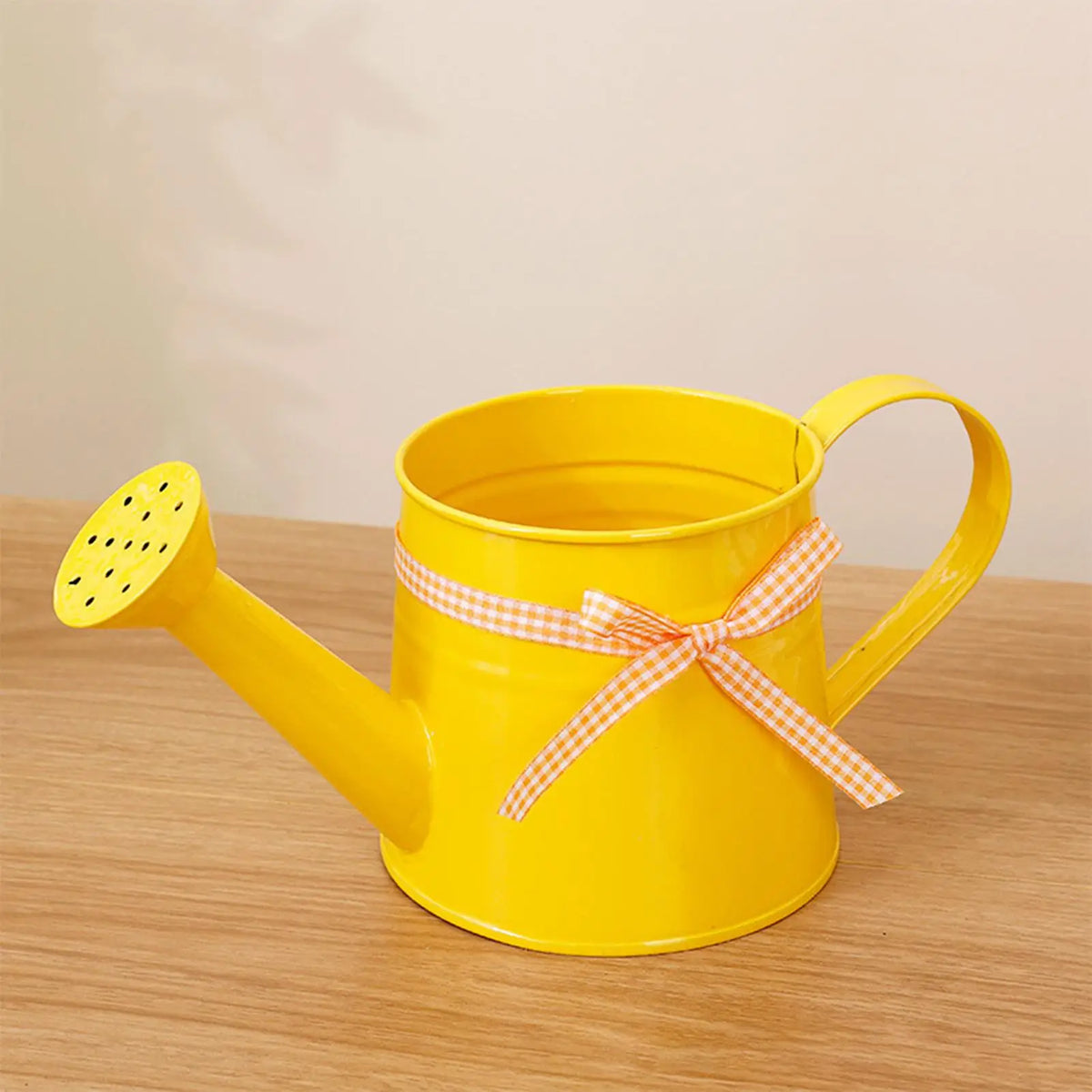 1L Metal Decorative Watering Can for Indoor & Outdoor Plants Decorative Watering Can QXL