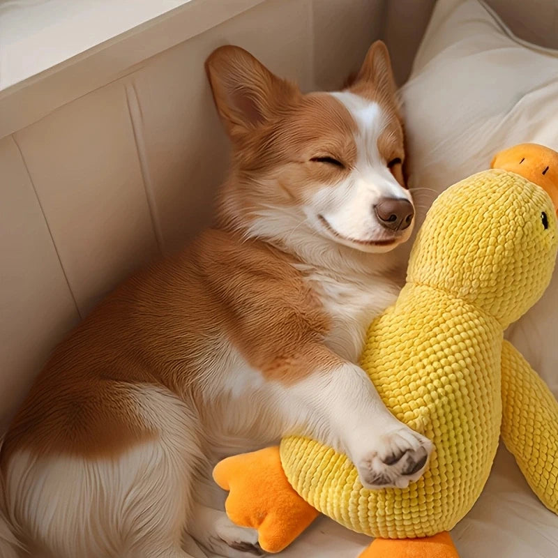 Yellow Duck Dog Calming Plush Squeaky Toy | Indoor Dogs Plush Dog Toy QXL