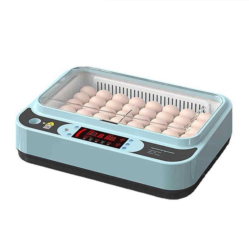 6-Egg Automatic Incubator – Chicken, Duck & Quail Egg Incubator QXL Dual Power-6Pcs EU Plug