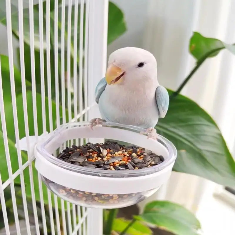 Detachable Transparent Bird Feeder Bowl | Cage Hanging Cup Bird Feeder Bowl QXL