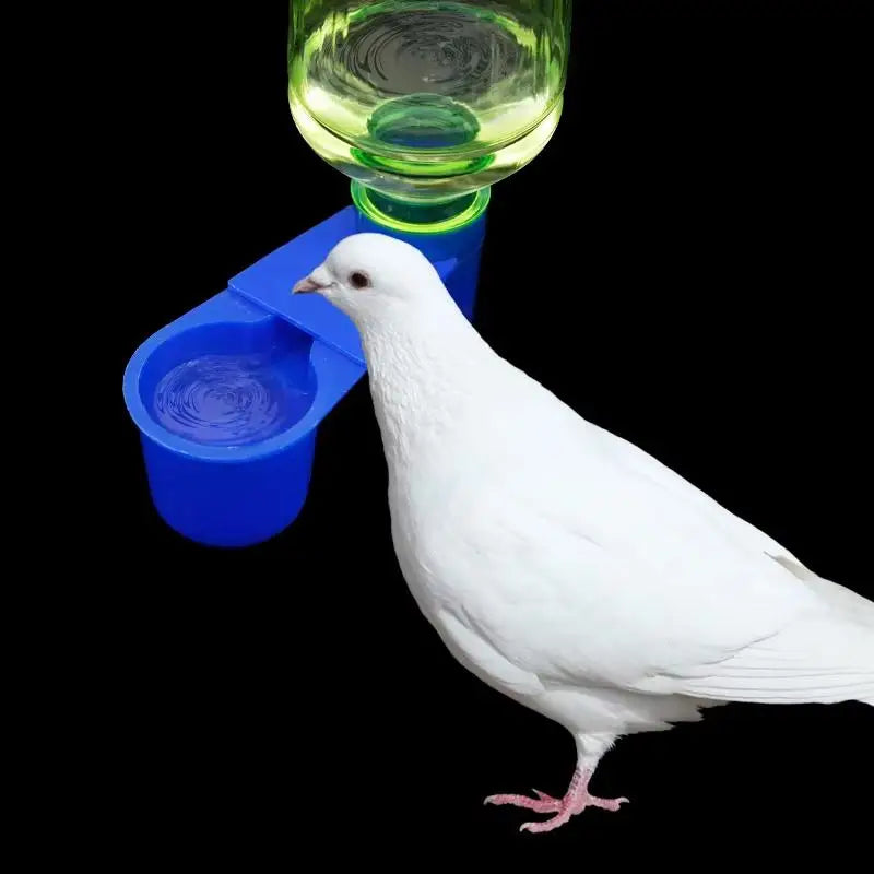3-Pack Automatic Bird Drinker Cups for Chicken, Quail & Pigeon Bird Drinker Cups QXL