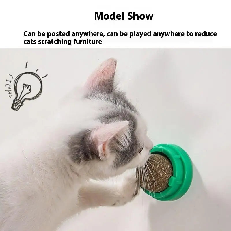 Natural Catnip Wall Stick-On Ball Toy & Scratcher for Cats Cat Catnip Toy QXL