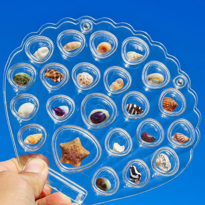 Seashell Acrylic Storage Box | Transparent Jewelry Display Case Acrylic Display Box QXL