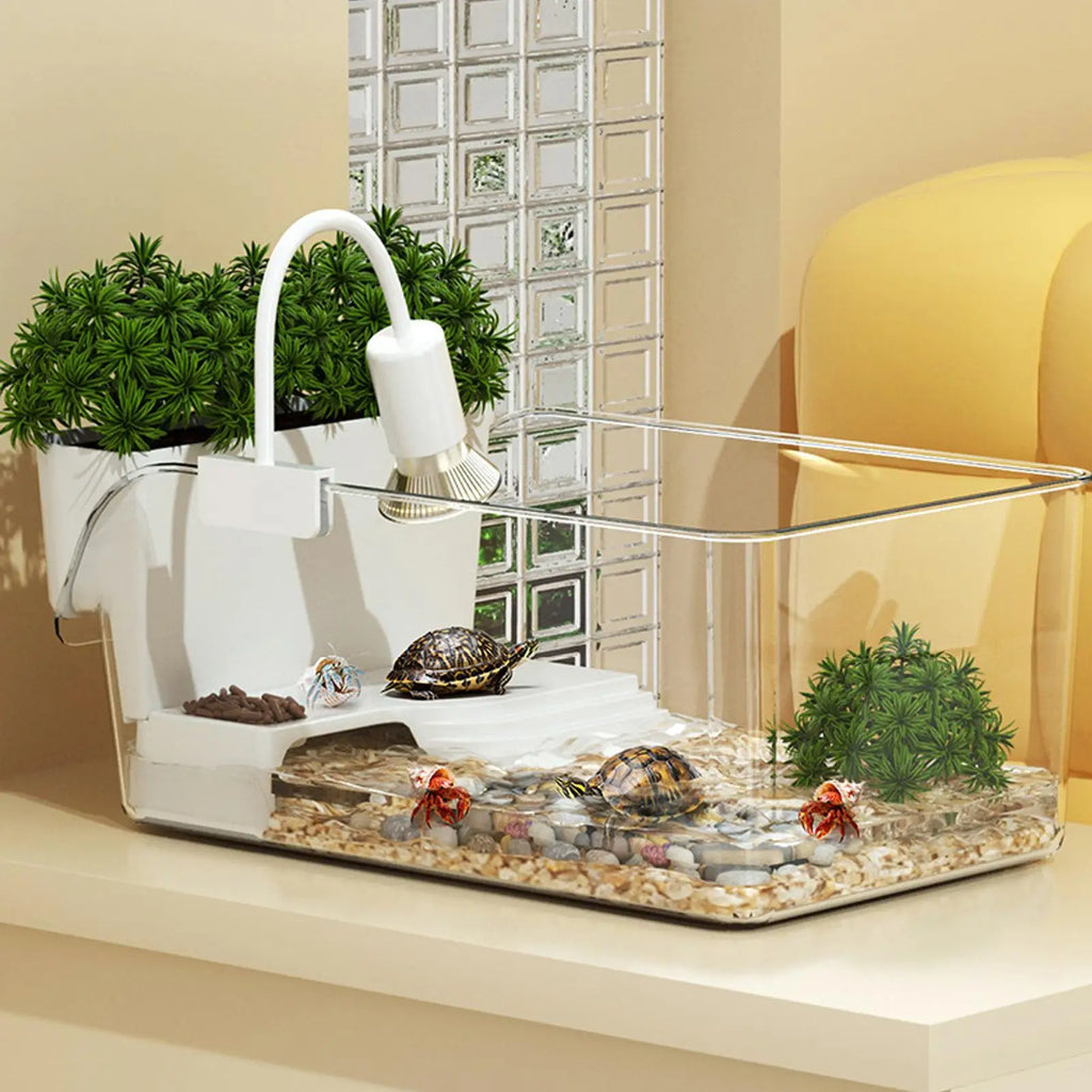 Small Turtle Tank | 270° Transparent Reptile Habitat Box Reptile Habitat Tank QXL