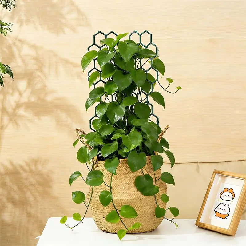 Honeycomb Plant Trellis | Modular Plastic Support for Vines Plant Trellis Support QXL