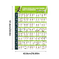 Workout Poster | Resistance Band & Gym Exercise Wall Chart Fitness Wall Chart QXL 1pcs