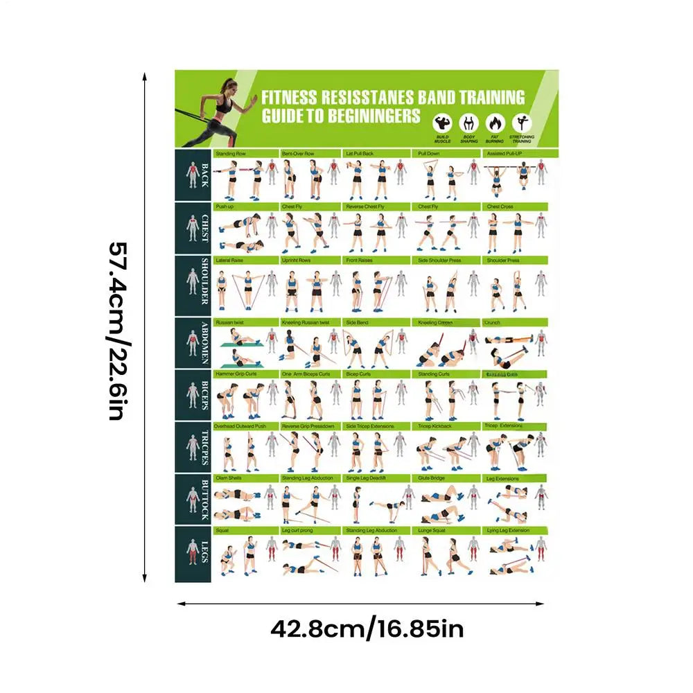 Workout Poster | Resistance Band & Gym Exercise Wall Chart Fitness Wall Chart QXL 1pcs