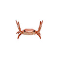 Creative Crab Pen Holder | Desk Organizer & Decor Ornament Novelty Pen Holder QXL Red