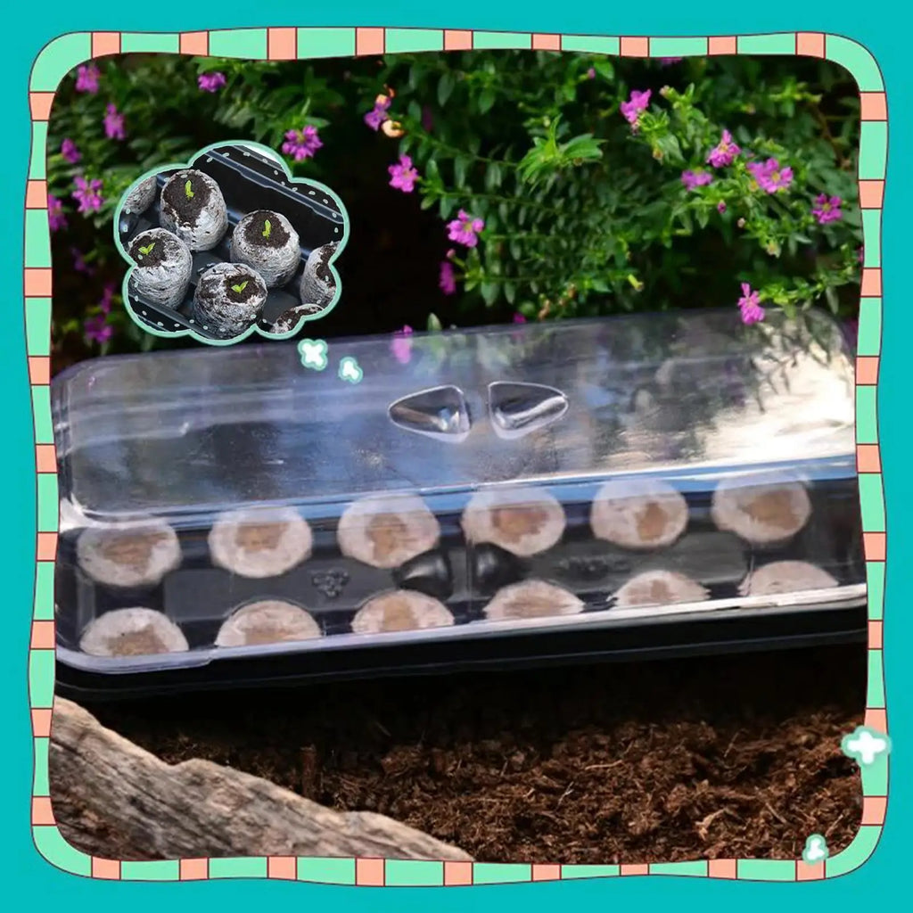 12-Cell Seedling Starter Tray with Humidity Dome – Propagator Seedling Propagation Tray QXL