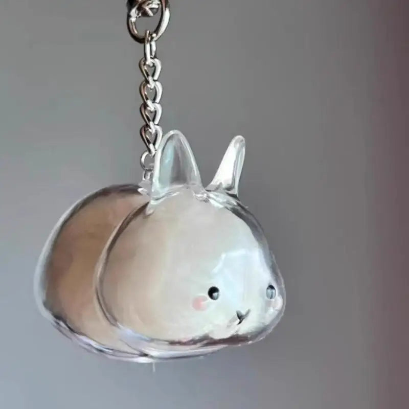 Cute Rabbit Pet Fur Keepsake Keychain | Transparent Storage Box Pet Keepsake Keychain QXL