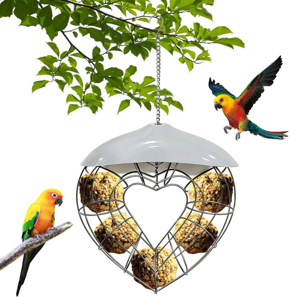 Heart-Shaped Outdoor Suet Ball Bird Feeder – PC & Steel Wild Bird Feeder QXL