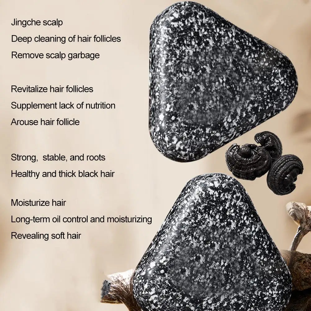 Black Reishi Polygonum Shampoo Bar | Natural Solid Hair Soap Solid Shampoo Bar QXL