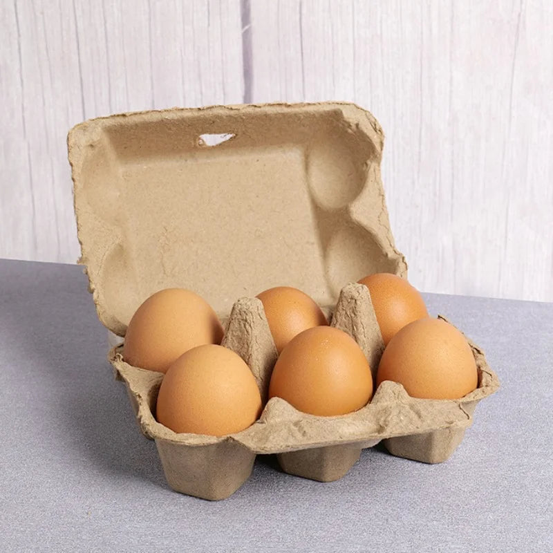 10-Pack Pulp Egg Trays | Farm, Home, Camping Egg Boxes Egg Storage Tray QXL