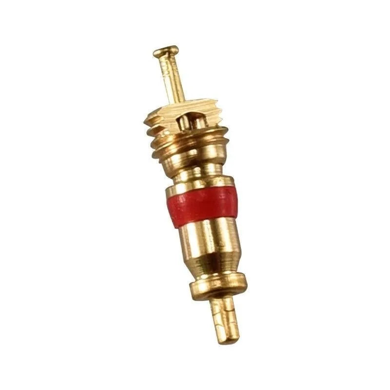 Brass Schrader Tire Valve Core Kit + Remover Tool & Dust Caps Tire Valve Core Kit QXL