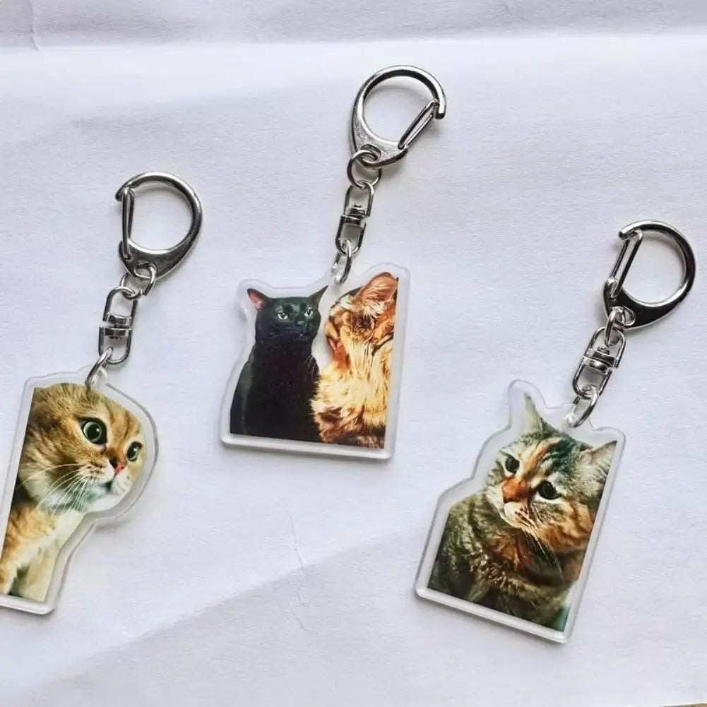 Funny Cat Meme Acrylic Keychain | Double-Sided HD Print Novelty Keychain Charm QXL