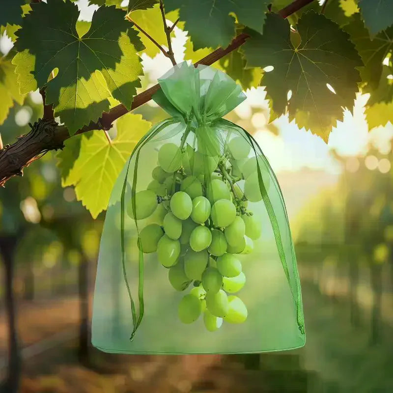 Reusable Fruit Protection Mesh Bags | Pest Barrier 20/50-Pack Garden Fruit Bags QXL