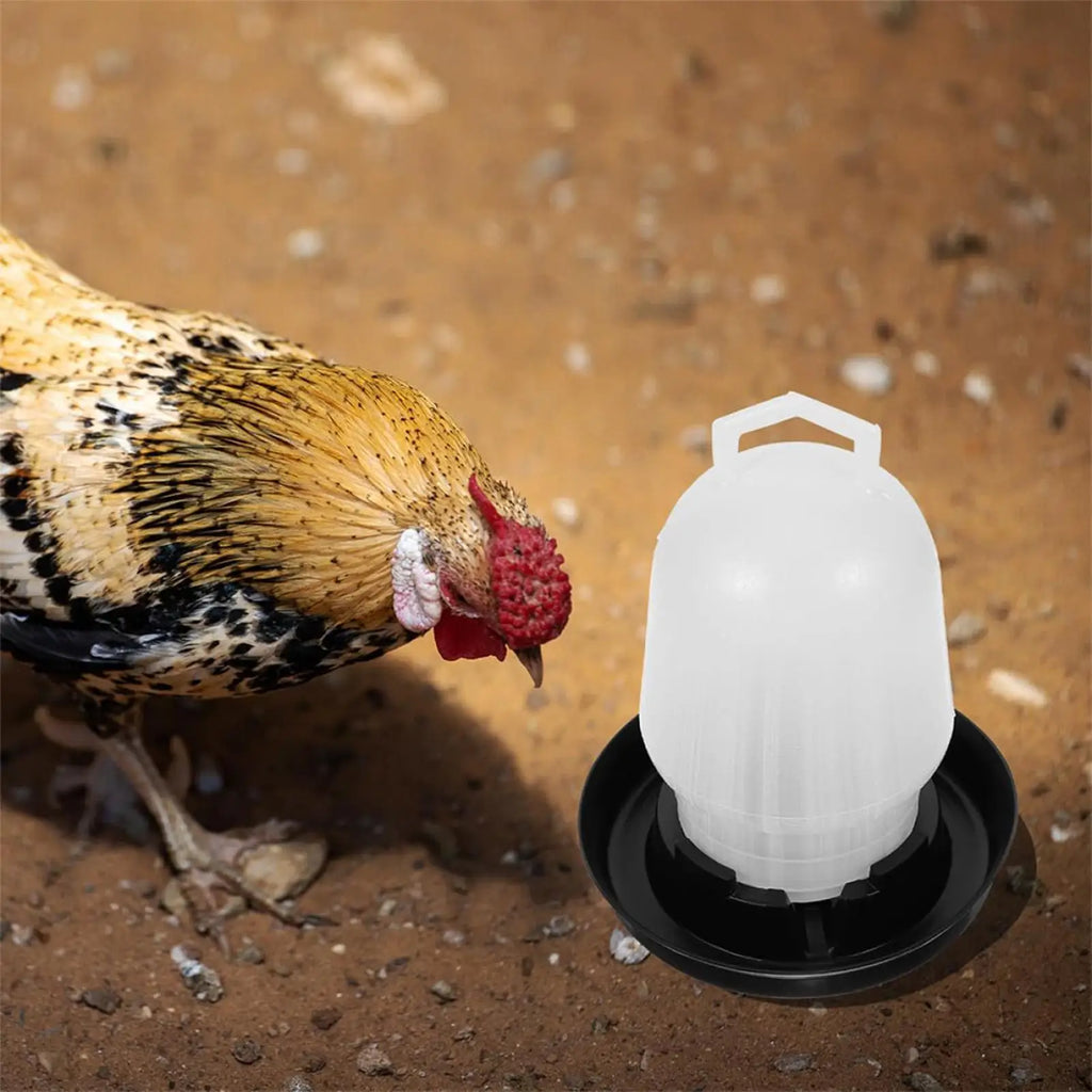 Automatic Chicken Waterer | Poultry Drinker Coop & Farm Poultry Waterer QXL