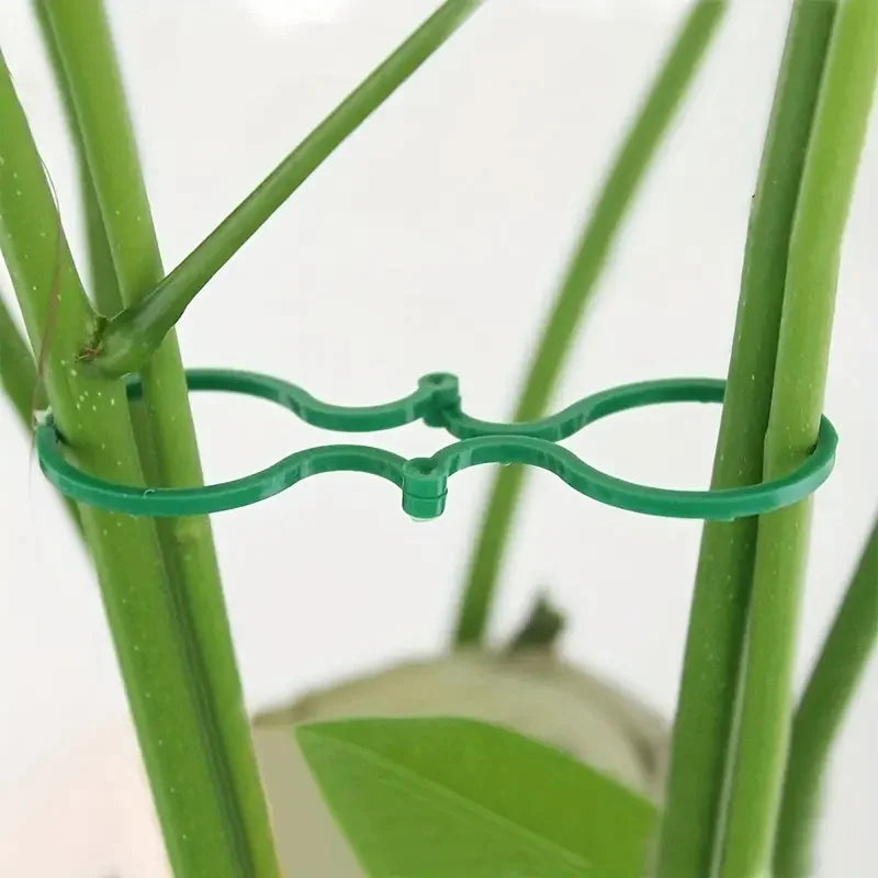 8-Figure Plant Clips for Tomatoes & Vines | Garden Support Garden Plant Clips QXL