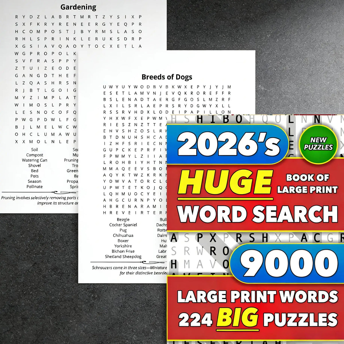 Large Print Word Search & Crossword Puzzle Book – 9,000 Words Puzzle Activity Book QXL