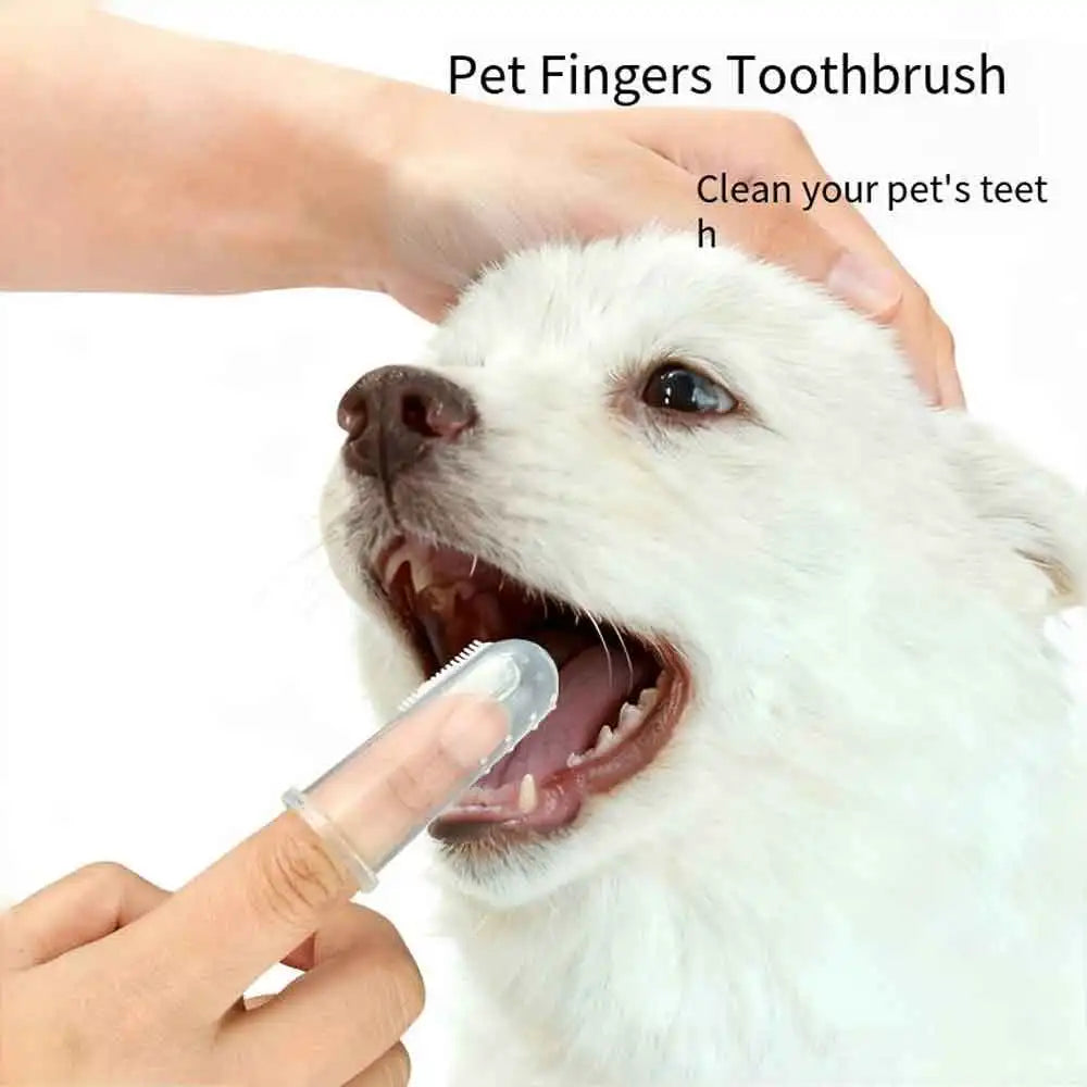 Soft Silicone Pet Finger Toothbrush for Dogs & Cats Pet Finger Toothbrush QXL