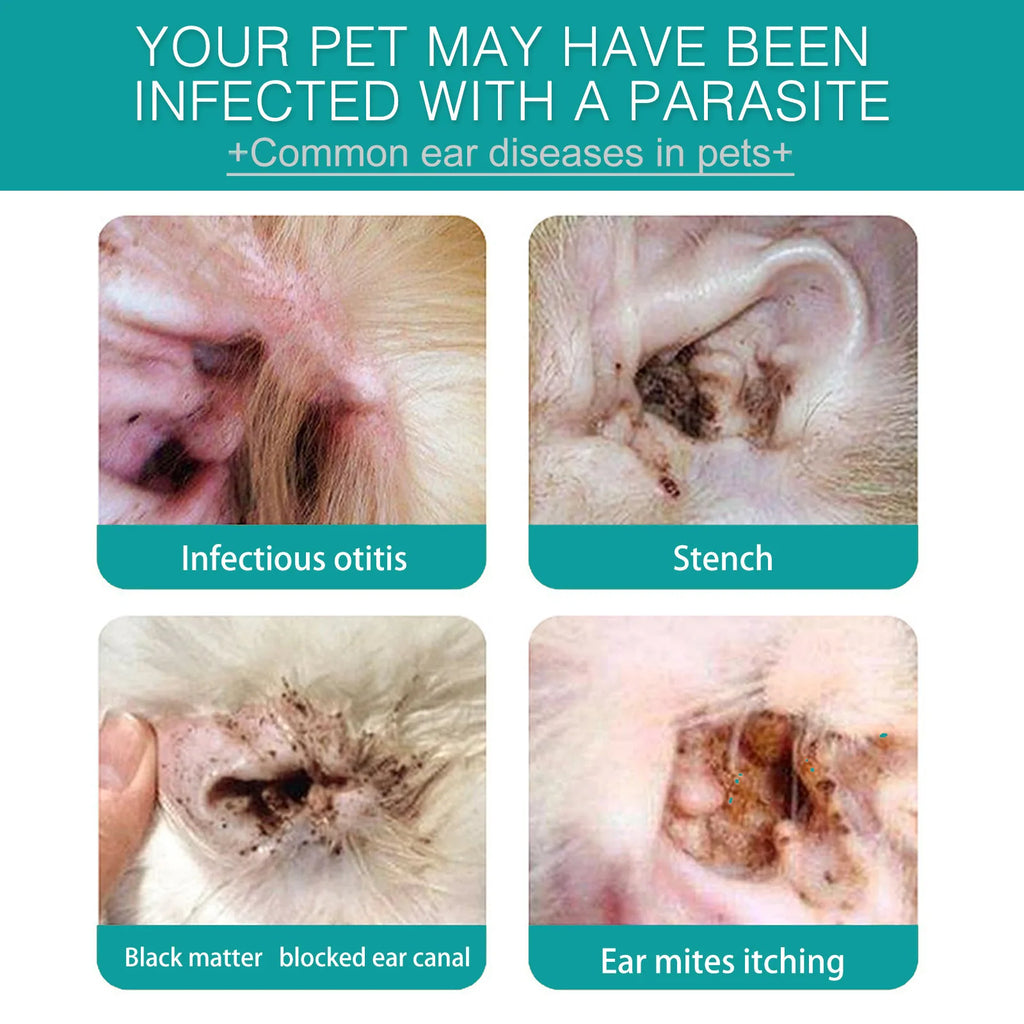 Pet Ear Cleaning Finger Cots | Cat & Dog Ear Care Pet Ear Cleaning Cots QXL