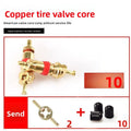 Brass Schrader Tire Valve Core Kit + Remover Tool & Dust Caps Tire Valve Core Kit QXL 10PCS
