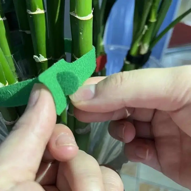 Adjustable Nylon Plant Ties 50/100/200pc | Reusable Garden Garden Plant Ties QXL
