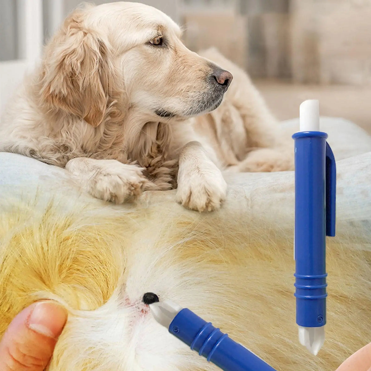 4-Piece Pet Tick & Flea Remover Kit – Hooks & Tweezers Pet Tick Remover Kit QXL