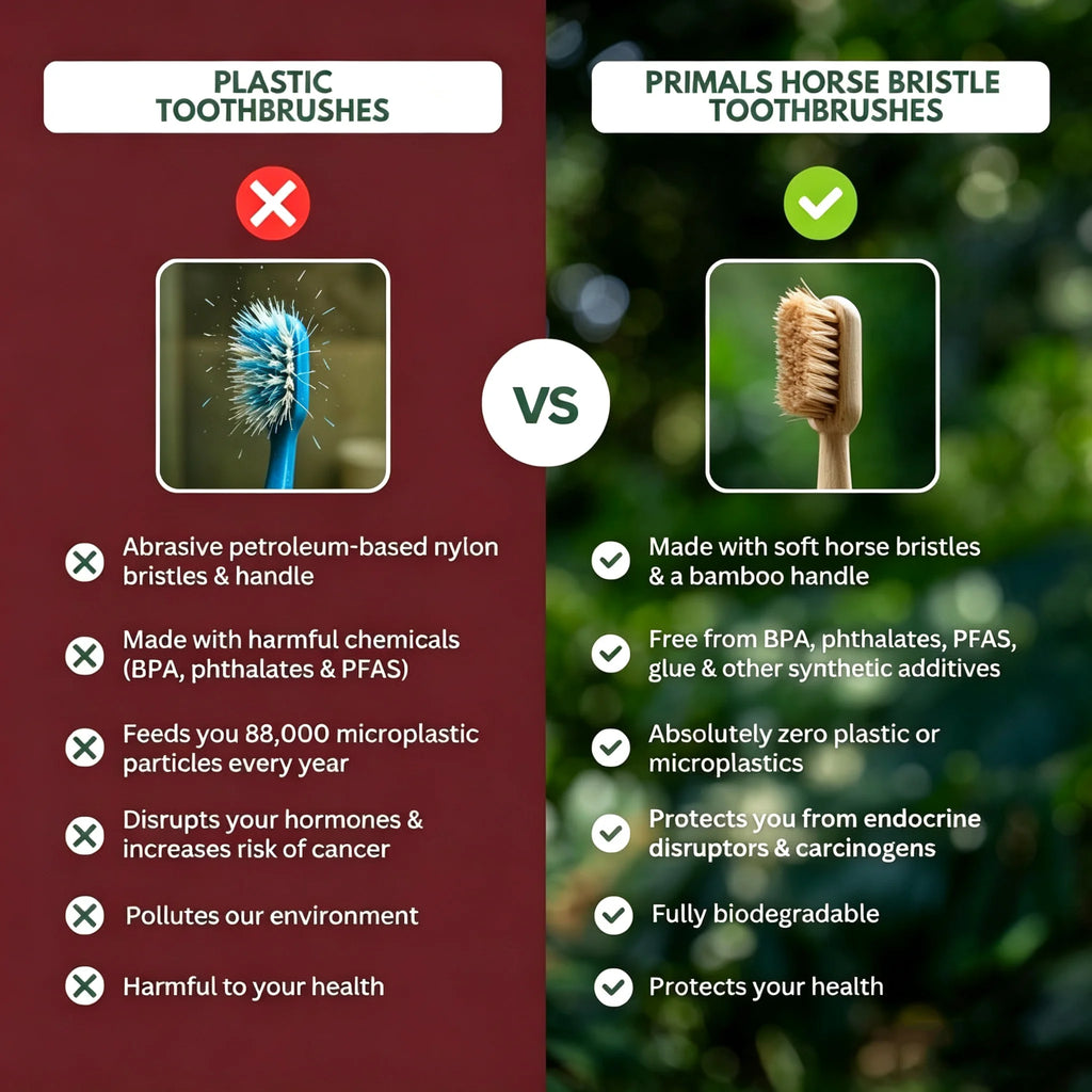 Bamboo Boar Bristle Toothbrush 5-Pack | Eco Compostable Bamboo Toothbrush QXL
