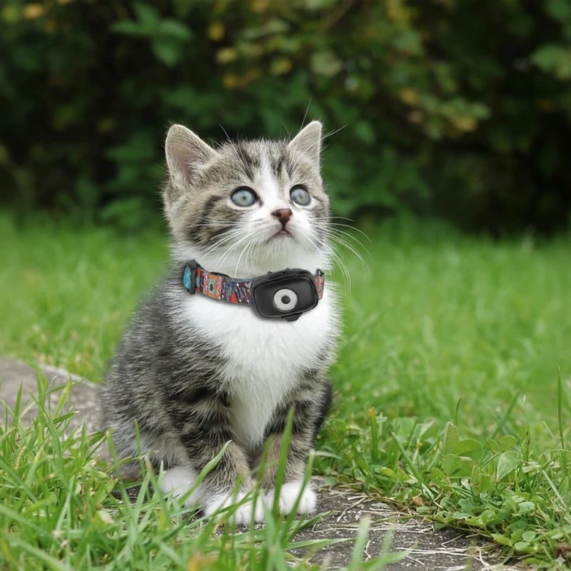 4G Mini GPS Tracker for Cats & Dogs | Real-Time Pet Locator Pet GPS Tracker QXL