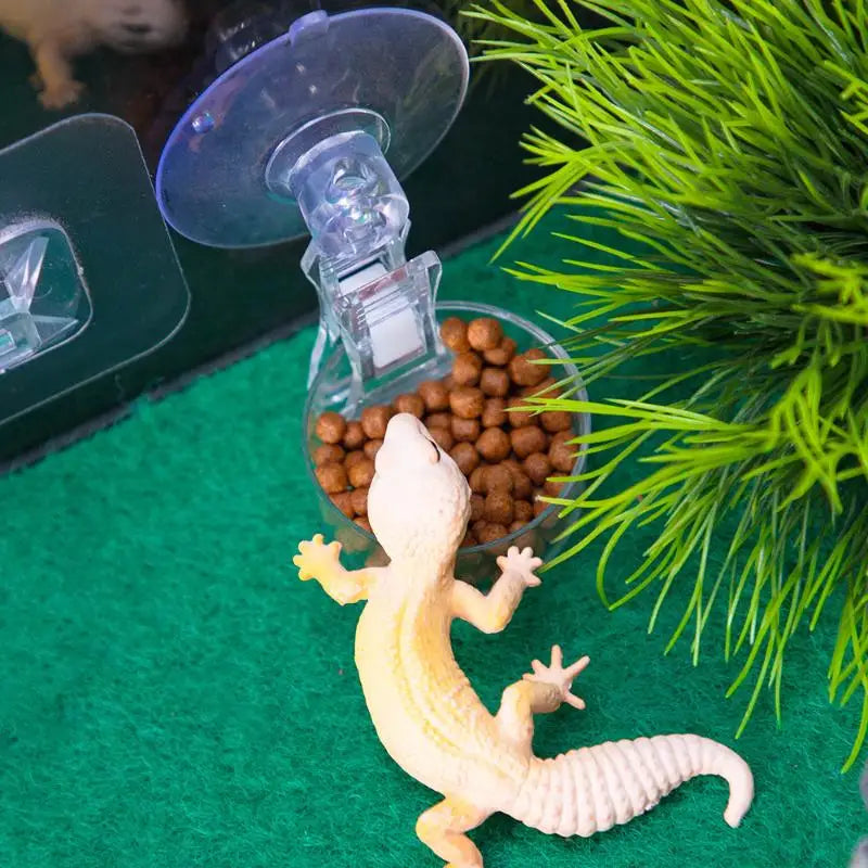 Reptile Suction Cup Feeder Bowl for Gecko Lizard Frog & Snake Reptile Feeder Bowl QXL