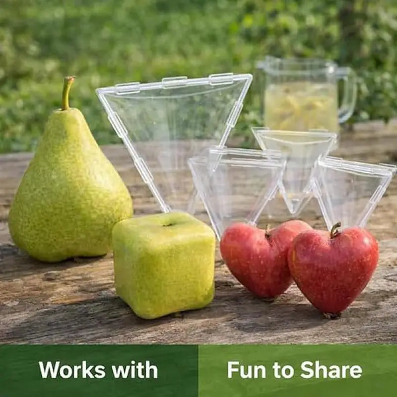 Transparent Fruit Shaping Molds – Cube & Triangle for Tomatoes Fruit Growing Mold QXL