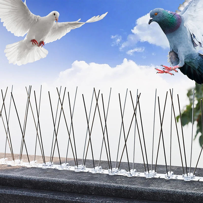 25cm Stainless Steel Bird Spikes | Pigeon Deterrent Kit Bird Spike Deterrent QXL