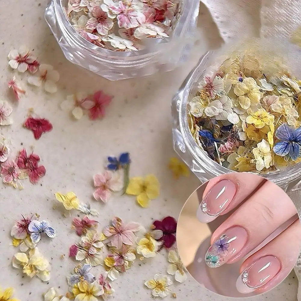 Real Dried Flower Nail Art Set | 3D Floral Manicure Decor Nail Art Decoration QXL
