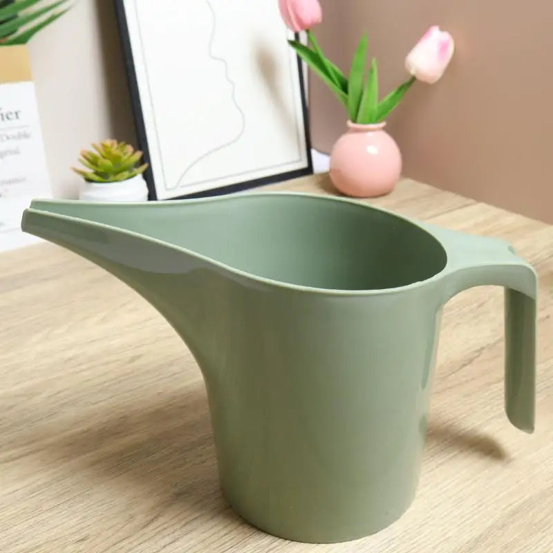 Long Spout Watering Can | Succulent & Garden Plant Tool Garden Watering Can QXL A1