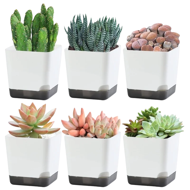 5-Pack Self-Watering Planters with Drainage & Reservoir Self-Watering Planter QXL