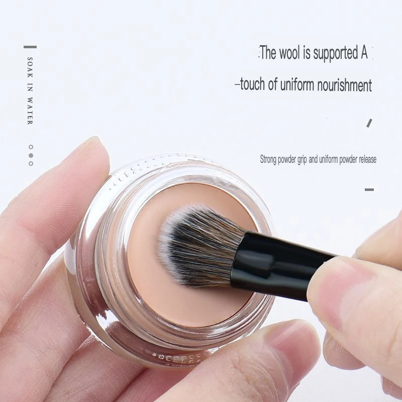 Mini Slope Eyeshadow & Concealer Brush | Blush Detail Tool Makeup Detail Brush QXL
