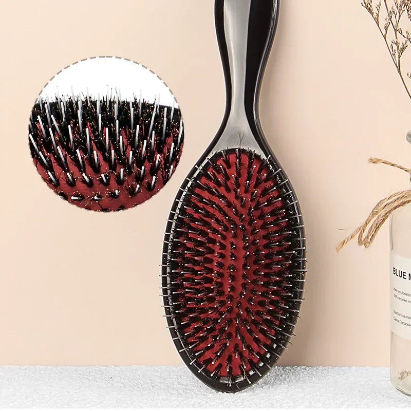 Oval Boar Bristle & Nylon Hair Comb | Anti-Static Massager Hair Comb Brush QXL
