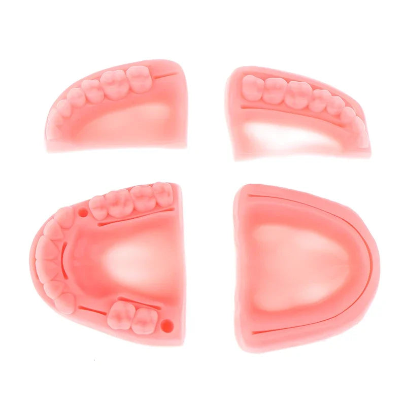 4-Piece Dental Oral Suture Silicone Training Model Set Dental Training Model QXL