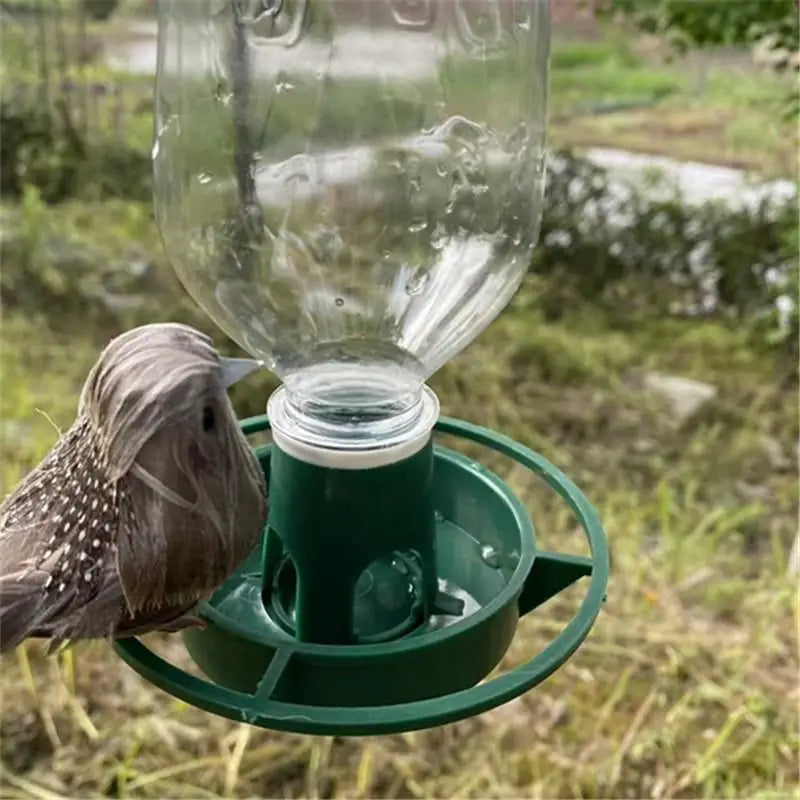 Automatic Hanging Bird Feeder Bowl for Parrot & Wild Birds Bird Feeder QXL