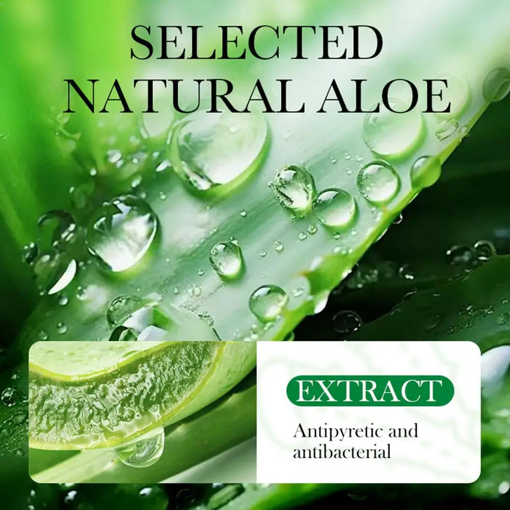 Natural Aloe Wax Hair Removal Strips | Face, Lip & Body Kit Wax Hair Removal Strips QXL