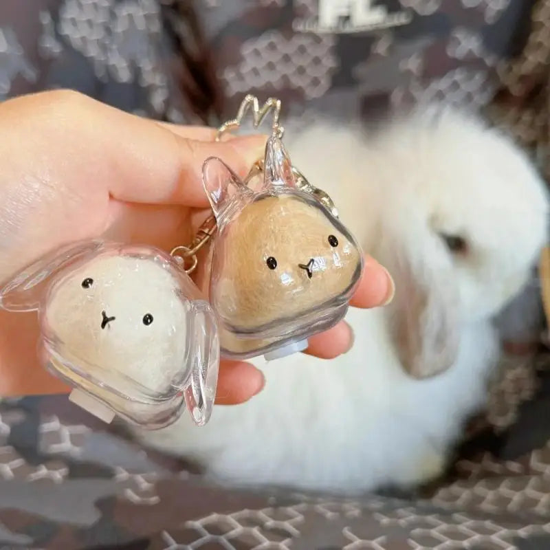 Cute Rabbit Pet Fur Keepsake Keychain | Transparent Storage Box Pet Keepsake Keychain QXL