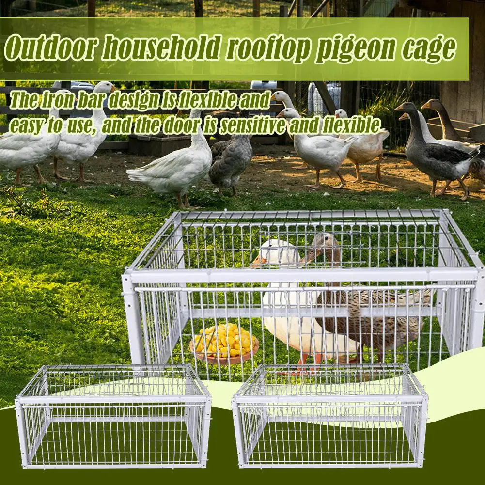 Automatic One-Way Bird Trap Cage | Pigeon & Small Animal Bird Trap Cage QXL