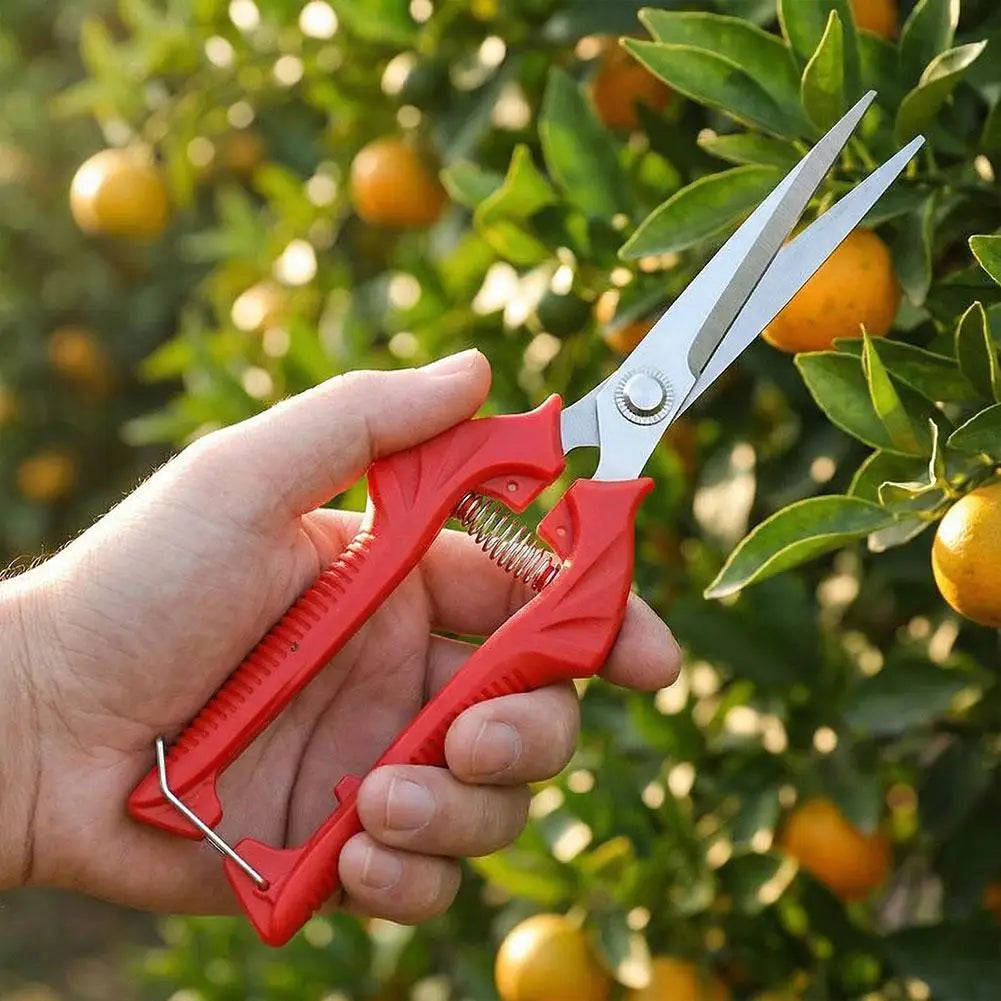 Stainless Steel Pruning Shears | 4 Sizes Garden Scissors Pruning Shears QXL