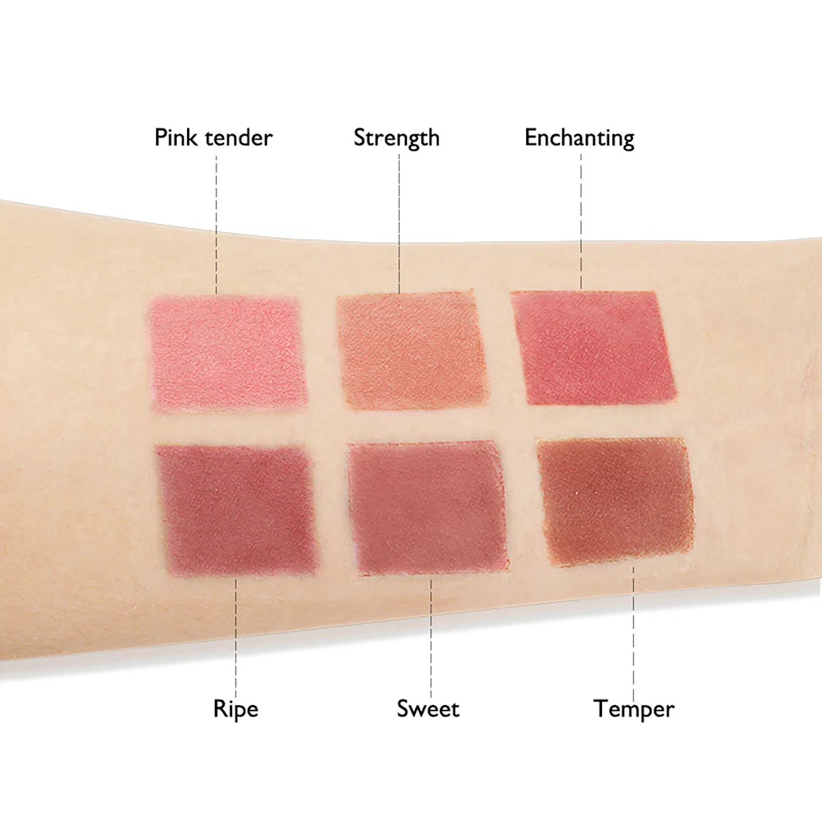6-Color Matte Blush Palette | High Pigment Long-Lasting Blush Palette QXL