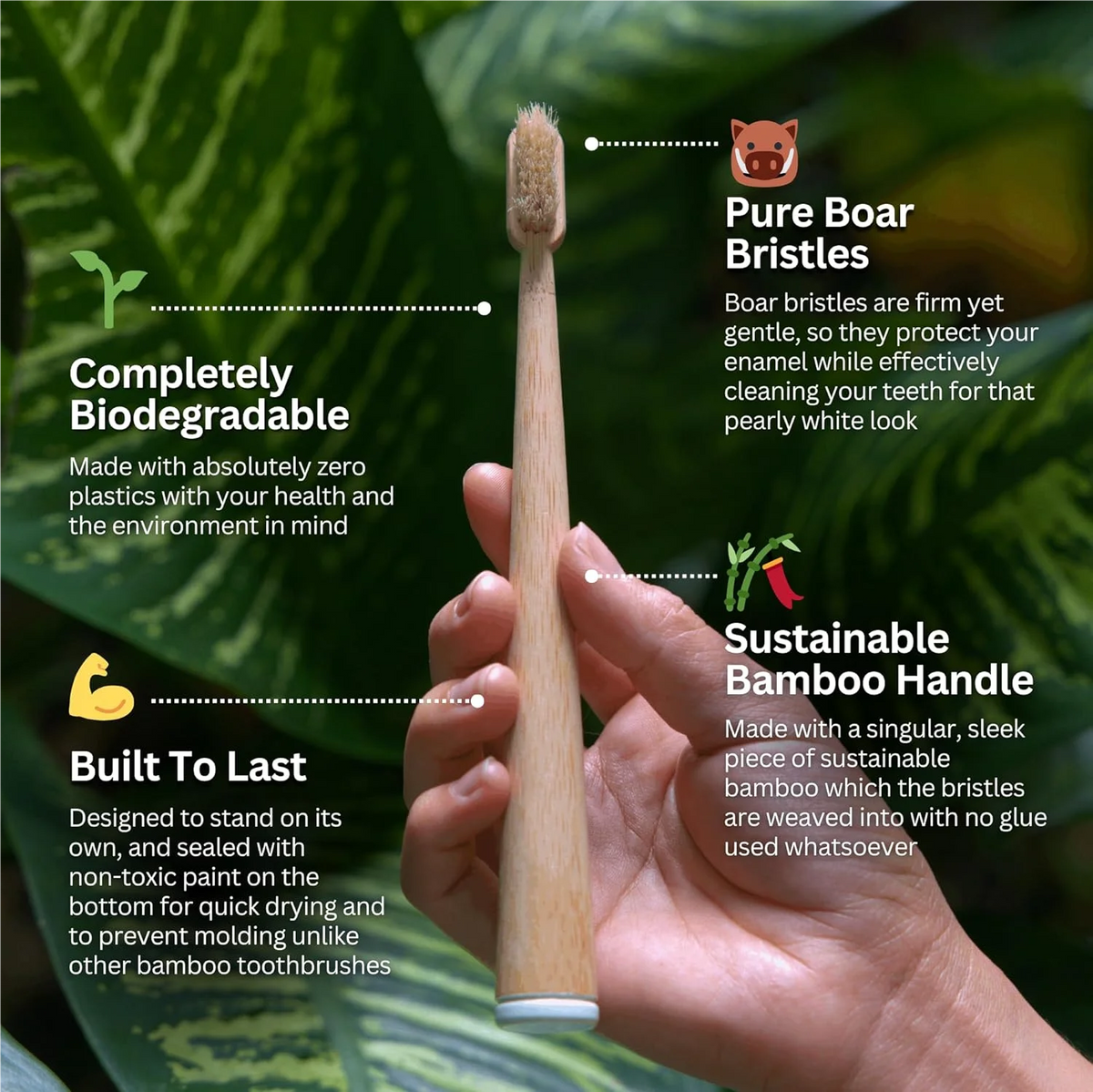 10-Pack Boar Bristle Bamboo Toothbrush | Biodegradable Bamboo Toothbrush QXL