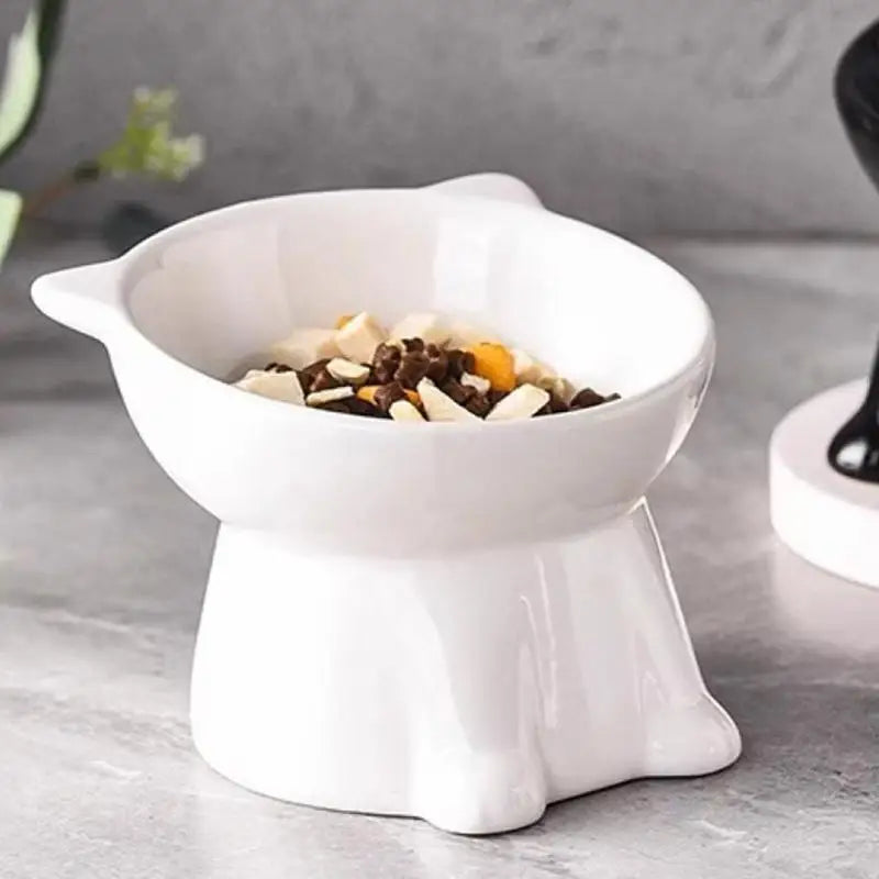 Raised Cat Bowl | Anti-Tip 15° Slanted Elevated Pet Feeder Elevated Pet Bowl QXL