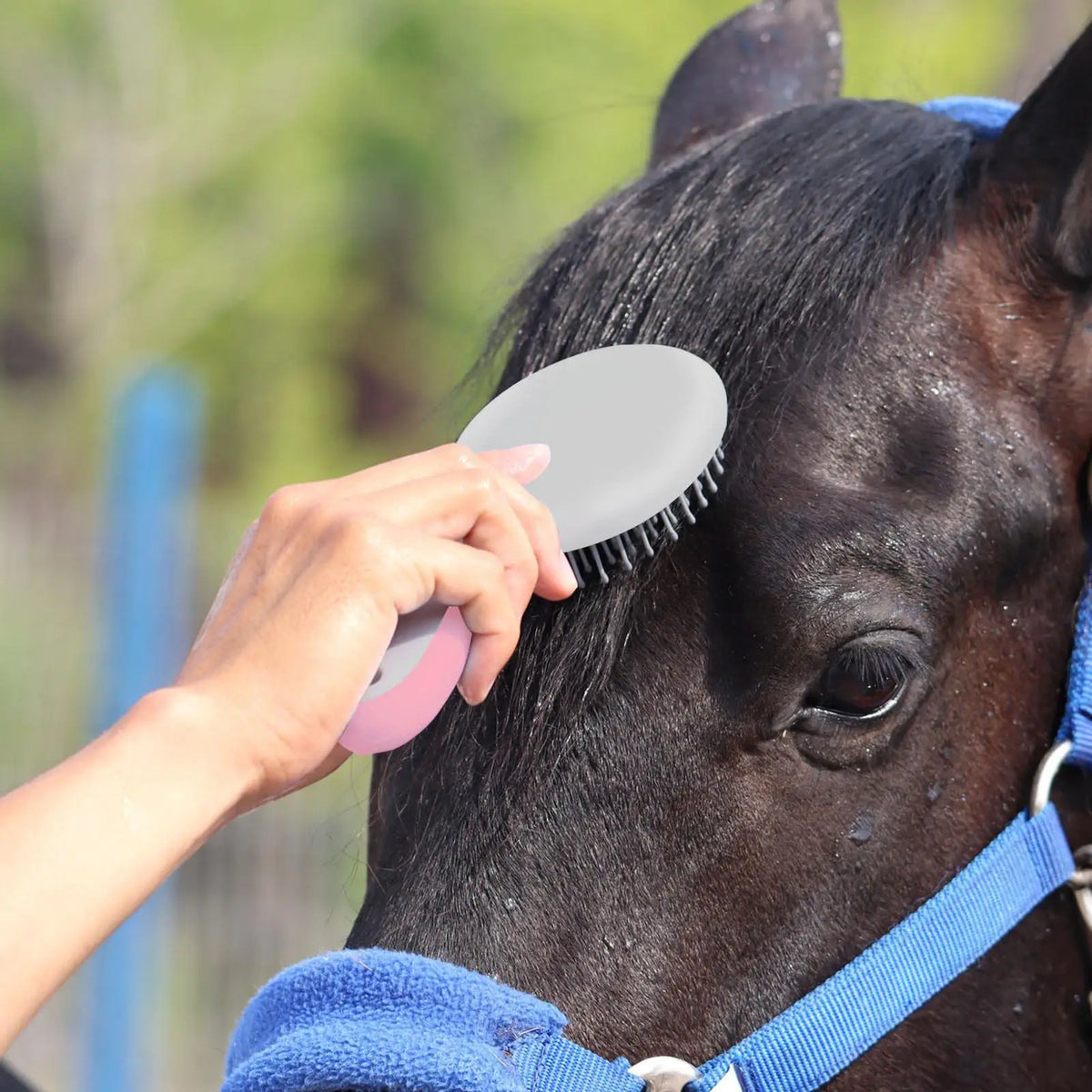 Horse Mane & Tail Brush | Ergonomic Grooming Detangler Horse Grooming Brush QXL