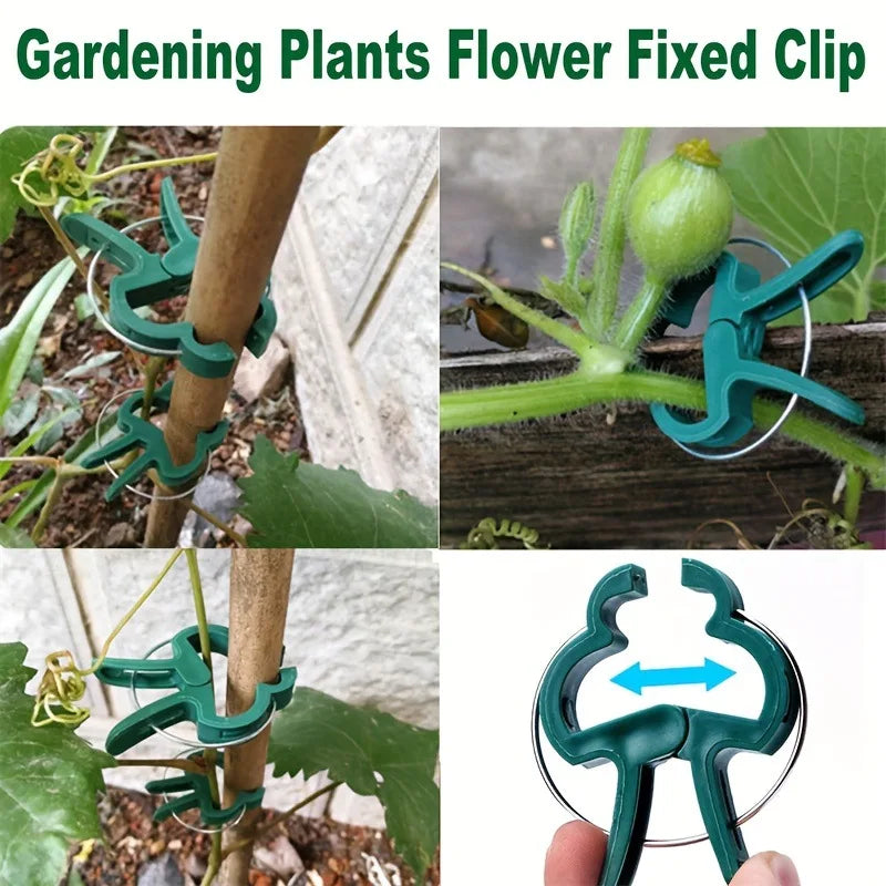Plant Support Clips for Climbing Plants, Tomato & Vines Garden Plant Clips QXL